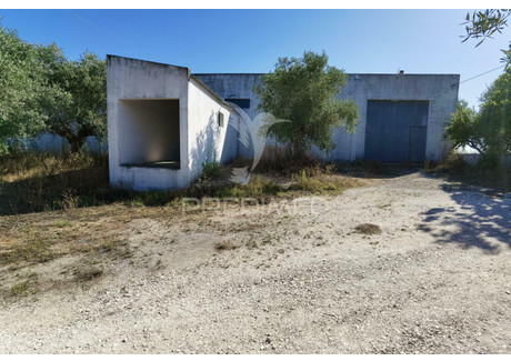 Magazyn na sprzedaż - São Vicente do Paul e Vale de Figueira Santarém, Portugalia, 360 m², 86 451 USD (353 583 PLN), NET-90063788