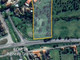 Dom na sprzedaż - Chamusca e Pinheiro Grande Chamusca, Portugalia, 272 m², 207 919 USD (835 835 PLN), NET-99969960