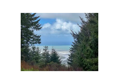 Komercyjne na sprzedaż - 1503 Lighthouse Road, Humboldt County, CA Petrolia, Usa, 74,32 m², 364 000 USD (1 397 760 PLN), NET-96341298