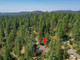 Komercyjne na sprzedaż - 2707 Elizabeth Drive , Calaveras County, CA Arnold, Usa, 256,6 m², 699 000 USD (2 802 990 PLN), NET-99697587