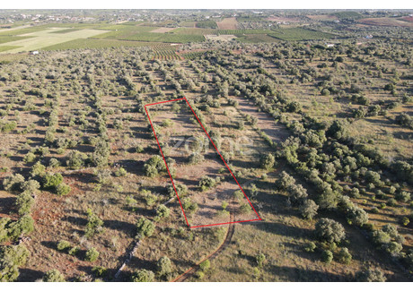 Działka na sprzedaż - Silves, Portugalia, 5620 m², 15 451 USD (64 122 PLN), NET-94342687