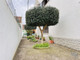 Dom na sprzedaż - Almeirim, Portugalia, 252 m², 293 269 USD (1 170 143 PLN), NET-96201444