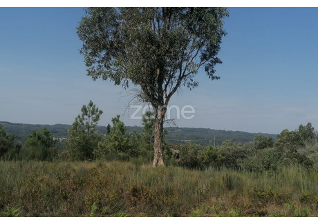 Działka na sprzedaż - Viseu, Portugalia, 623 m², 29 848 USD (122 080 PLN), NET-93012609