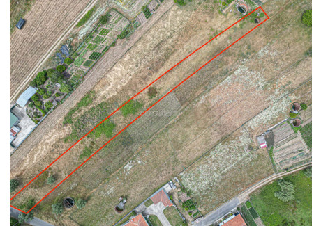 Działka na sprzedaż - Fermentelos, Portugalia, 2250 m², 67 147 USD (257 172 PLN), NET-98603288