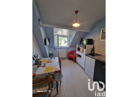 Mieszkanie na sprzedaż - La Bourboule, Francja, 17 m², 53 813 USD (220 093 PLN), NET-100587097