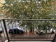 Mieszkanie do wynajęcia - Prenzlauer Promenade Berlin, Niemcy, 37 m², 1449 USD (5838 PLN), NET-95766212