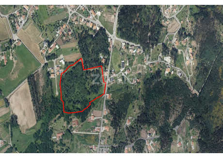 Działka na sprzedaż - Viana Do Castelo, Portugalia, 35 828 m², 879 033 USD (3 595 247 PLN), NET-95943357