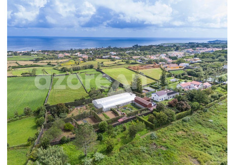 Dom na sprzedaż - São Vicente Ferreira, Portugalia, 599 m², 1 525 397 USD (6 254 129 PLN), NET-98148769