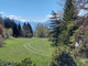 Dom na sprzedaż - 3963 Crans-Montana, Switzerland Crans-Montana, Szwajcaria, 200 m², 2 428 965 USD (9 302 935 PLN), NET-97069831