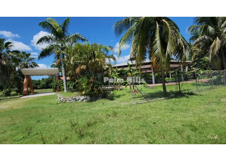 Działka na sprzedaż - Q88W+WRQ, Puerto Plata 57000, Dominican Republic Puerto Plata, Dominikana, 12 500 m², 2 337 500 USD (9 396 750 PLN), NET-100841835