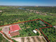 Działka na sprzedaż - Abrantes Portugalia, 2588 m², 2 686 987 USD (10 586 731 PLN), NET-97324878