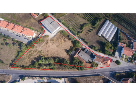 Komercyjne na sprzedaż - Leiria, Alcobaça, Aljubarrota, Portugalia, 5123 m², 1 624 050 USD (6 528 680 PLN), NET-94544296