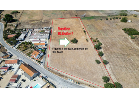 Działka na sprzedaż - Sarilhos Grandes, Portugalia, 15 640 m², 129 974 USD (539 390 PLN), NET-100847263