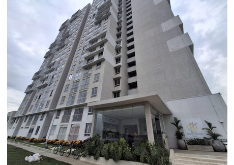 Mieszkanie do wynajęcia - Edificio Paraíso Central 1, Cra. 12 #13-73, COMUNA 3, Cali, Valle del Cali, Kolumbia, 42 m², 294 USD (1205 PLN), NET-103118513