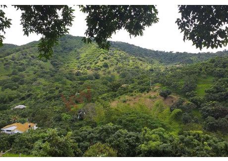 Dom na sprzedaż - El Higueron, Anapoima, Cundinamarca, Colombia Anapoima, Kolumbia, 45 m², 234 474 USD (919 138 PLN), NET-93548377