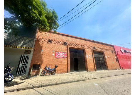 Lokal handlowy do wynajęcia - Cra. 8 #23-74, Cali, Valle del Cauca, Colombia Cali, Kolumbia, 500 m², 1670 USD (6465 PLN), NET-99623400