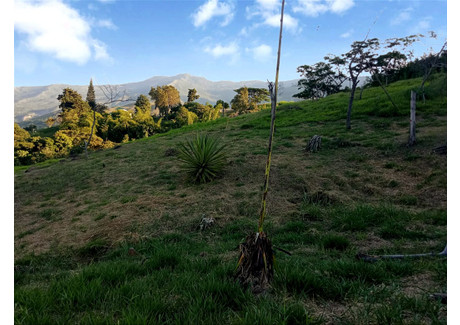 Działka na sprzedaż - Yumbo, Valle del Cauca, Colombia Yumbo, Kolumbia, 4501 m², 177 353 USD (727 146 PLN), NET-100329914