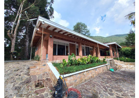 Dom na sprzedaż - Loma Del Escobero #4, Isla Fuerte, Envigado, Antioquia, Colombia Envigado, Kolumbia, 230 m², 679 795 USD (2 821 150 PLN), NET-102347798