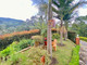 Dom do wynajęcia - Retiro, Antioquia, Colombia Retiro, Kolumbia, 150 m², 1664 USD (6522 PLN), NET-100685087