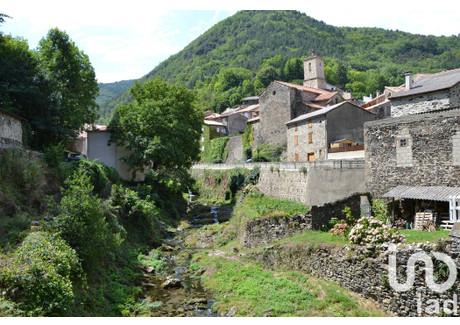 Dom na sprzedaż - Montfort-Sur-Boulzane, Francja, 114 m², 170 015 USD (666 457 PLN), NET-100217615