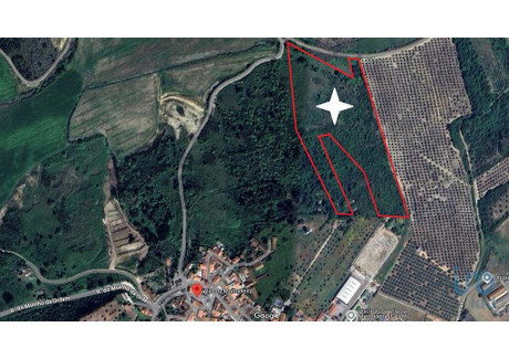 Działka na sprzedaż - Vila Da Marmeleira, Portugalia, 38 440 m², 46 753 USD (190 284 PLN), NET-103058267