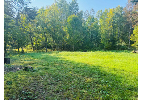 Działka na sprzedaż - Ch. du Lac-Sport, Lac-Saint-Paul, QC J0W1K0, CA Lac-Saint-Paul, Kanada, 12 486 m², 35 475 USD (142 610 PLN), NET-100633064