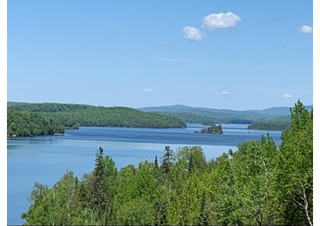 Działka na sprzedaż - Route 309, Saint-Aimé-du-Lac-des-Îles, QC J0W1J0, CA Saint-Aimé-Du-Lac-Des-Îles, Kanada, 7422 m², 114 542 USD (466 185 PLN), NET-102325241