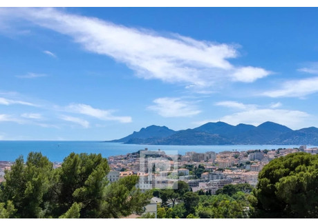 Dom na sprzedaż - Cannes, Francja, 240 m², 3 623 027 USD (15 035 563 PLN), NET-100967505