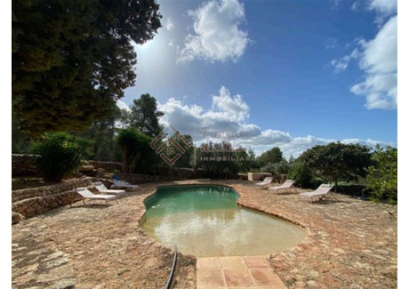 Dom do wynajęcia - Eivissa, Hiszpania, 1000 m², 4846 USD (19 625 PLN), NET-96812088