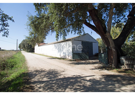 Dom na sprzedaż - Viana Do Alentejo, Portugalia, 118 m², 192 738 USD (788 300 PLN), NET-102273698