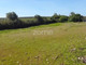 Działka na sprzedaż - Campo Maior, Portugalia, 10 000 m², 24 906 USD (101 865 PLN), NET-96539473