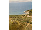 Dom na sprzedaż - Marathon, Grecja, 10 000 m², 2 708 362 USD (10 670 948 PLN), NET-95877090