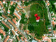 Działka na sprzedaż - Torres Novas (Santa Maria, Salvador e Santiago) Torres Novas, Portugalia, 14 680 m², 698 061 USD (2 813 185 PLN), NET-98159296