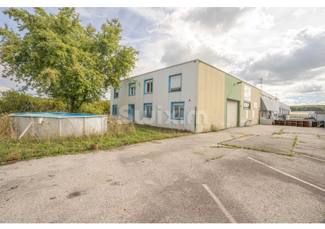 Komercyjne na sprzedaż - Ornex, Francja, 350 m², 744 644 USD (2 851 987 PLN), NET-98976886