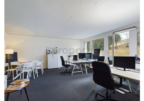 Biuro do wynajęcia - St. Gallen, Szwajcaria, 43 m², 1216 USD (4790 PLN), NET-96250136
