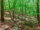 Działka na sprzedaż - Lot 26 Foxpaw Leaf Lane Ellijay, Usa, 26 506,91 m², 129 900 USD (528 693 PLN), NET-100031693