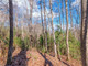 Działka na sprzedaż - Lot 43 Dusty Danno Trail Mineral Bluff, Usa, 6839,19 m², 51 000 USD (207 570 PLN), NET-98074586