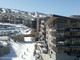 Dom na sprzedaż - 77 Wood Road Snowmass Village, Usa, 155,06 m², 5 295 000 USD (20 756 400 PLN), NET-99634717