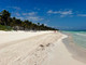 Komercyjne na sprzedaż - 4GJP+MF, Tulum Beach, 77760 Tulum, Quintana Roo, Mexico Tulum Municipality, Meksyk, 7003 m², 10 500 000 USD (42 735 000 PLN), NET-103061323