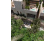 Dom na sprzedaż - Quintana Roo, Tulum, Tulum Centro Tulum Centro, Meksyk, 155 m², 279 930 USD (1 147 713 PLN), NET-102910019