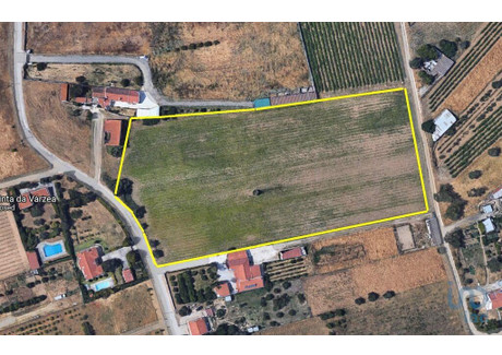 Działka na sprzedaż - Quinta Do Anjo, Portugalia, 17 720 m², 130 632 USD (525 140 PLN), NET-98039938