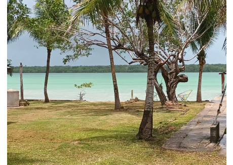 Działka na sprzedaż - Laguna Guerrero Chetumal, Meksyk, 1000 m², 210 000 USD (854 700 PLN), NET-98877078