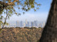 Dom na sprzedaż - 2401 Crest View Los Angeles, Usa, 249 m², 3 700 000 USD (14 171 000 PLN), NET-99377484