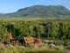 Działka na sprzedaż - 27150 Cowboy Up Road Steamboat Springs, Usa, 27 599 m², 1 550 000 USD (6 308 500 PLN), NET-99376067