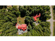 Dom na sprzedaż - 3891 Trailhead Dr Sooke, Kanada, 415 m², 1 020 279 USD (3 999 492 PLN), NET-100661493