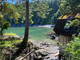 Dom na sprzedaż - 4312 Clam Bay Rd Pender Island, Kanada, 125 m², 1 606 833 USD (6 539 810 PLN), NET-100152547