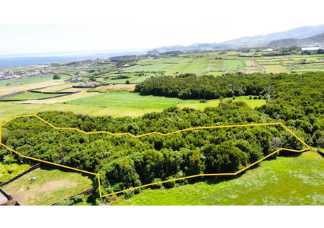 Działka na sprzedaż - Ilha De São Miguel, Pico Da Pedra, Portugalia, 8560 m², 41 712 USD (171 019 PLN), NET-98812041