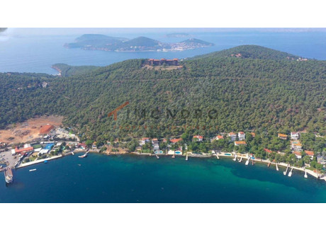 Dom na sprzedaż - Istanbul Adalar, Turcja, 600 m², 2 867 324 USD (11 727 353 PLN), NET-100699347