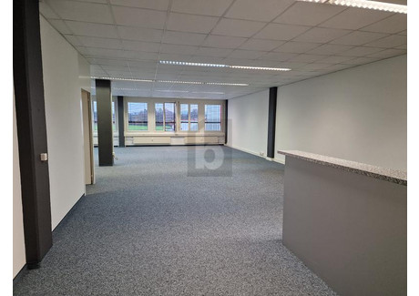 Biuro do wynajęcia - Rotkreuz, Szwajcaria, 220 m², 3456 USD (14 064 PLN), NET-102944193