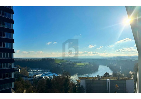 Mieszkanie do wynajęcia - Neuhausen Am Rheinfall, Szwajcaria, 137 m², 3454 USD (14 162 PLN), NET-102587274